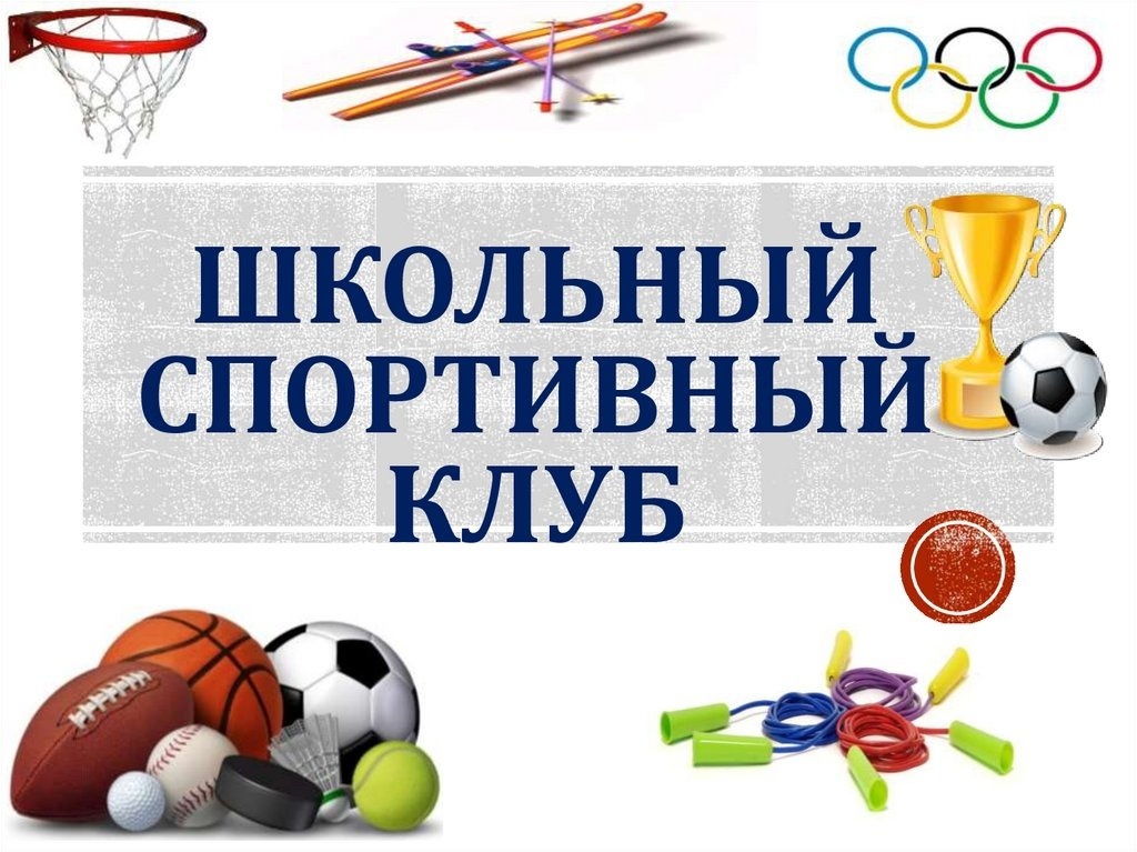 Школьный спортивный  клуб (ШСК).